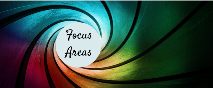 focus areas